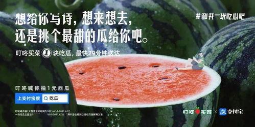 吃瓜娱乐文案,揭秘明星幕后故事